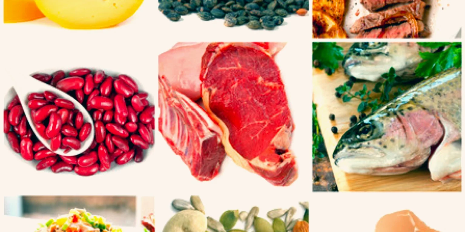 6 Of the Best Sources Of Protein That You Must Include In Your Muscle Gaining Diet