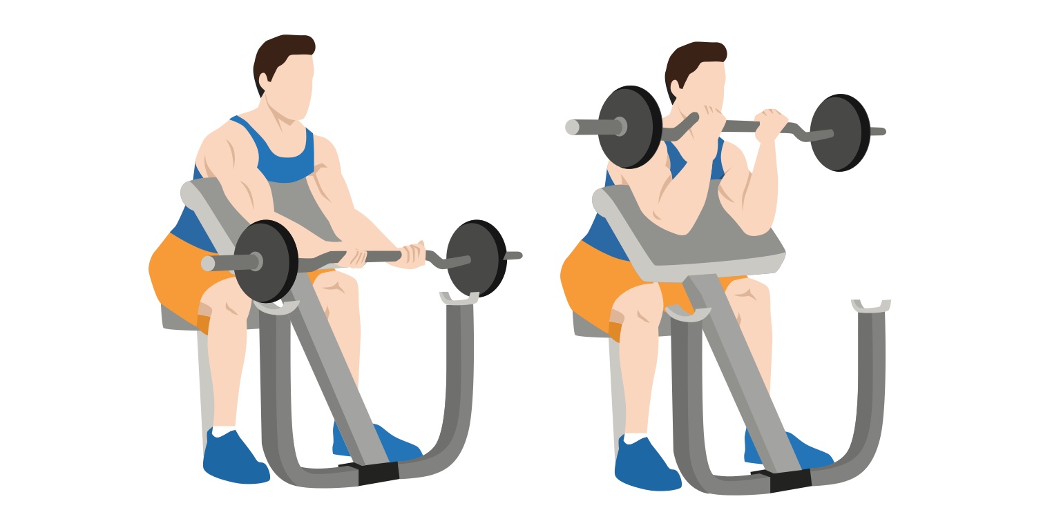 Diagram - how to perform a preacher curl