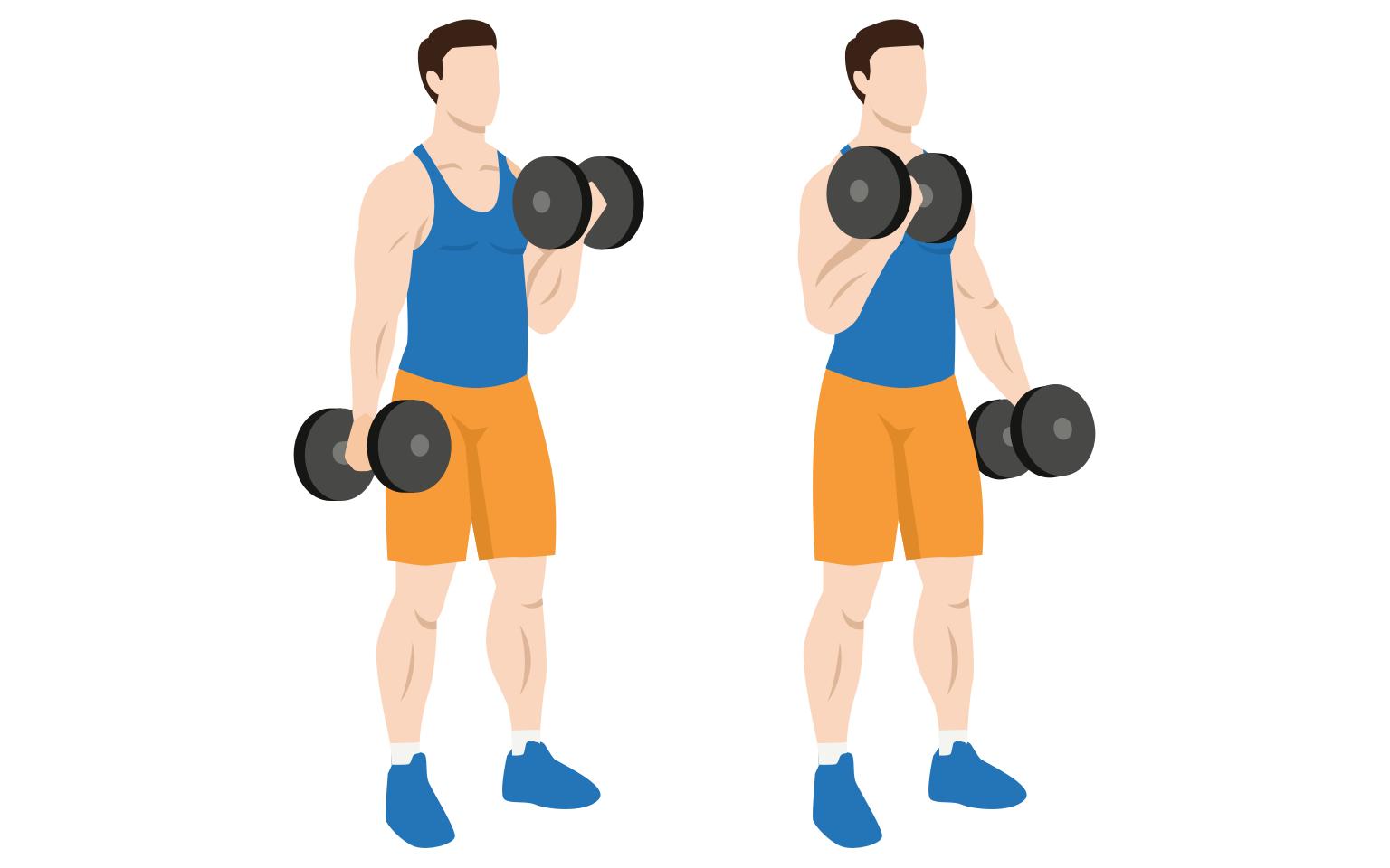 illustration - Alternating dumbbell curls