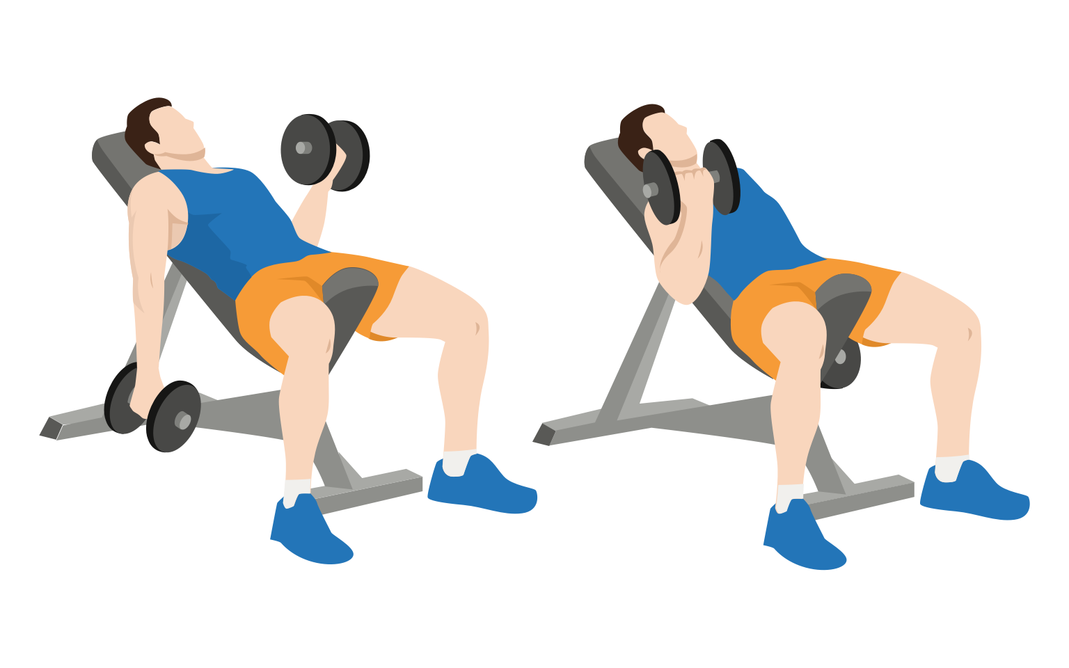 illustration - Alternating incline dumbbell curl