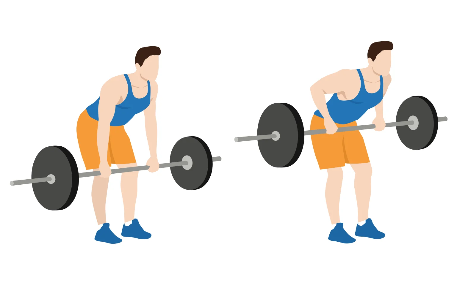 Barbell bent over rows