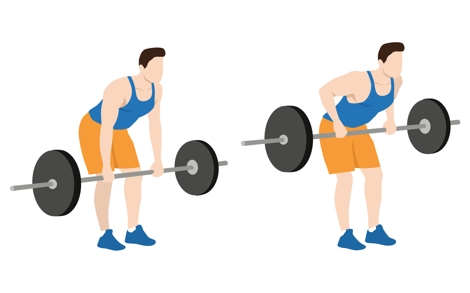 illustration - Barbell bent over rows