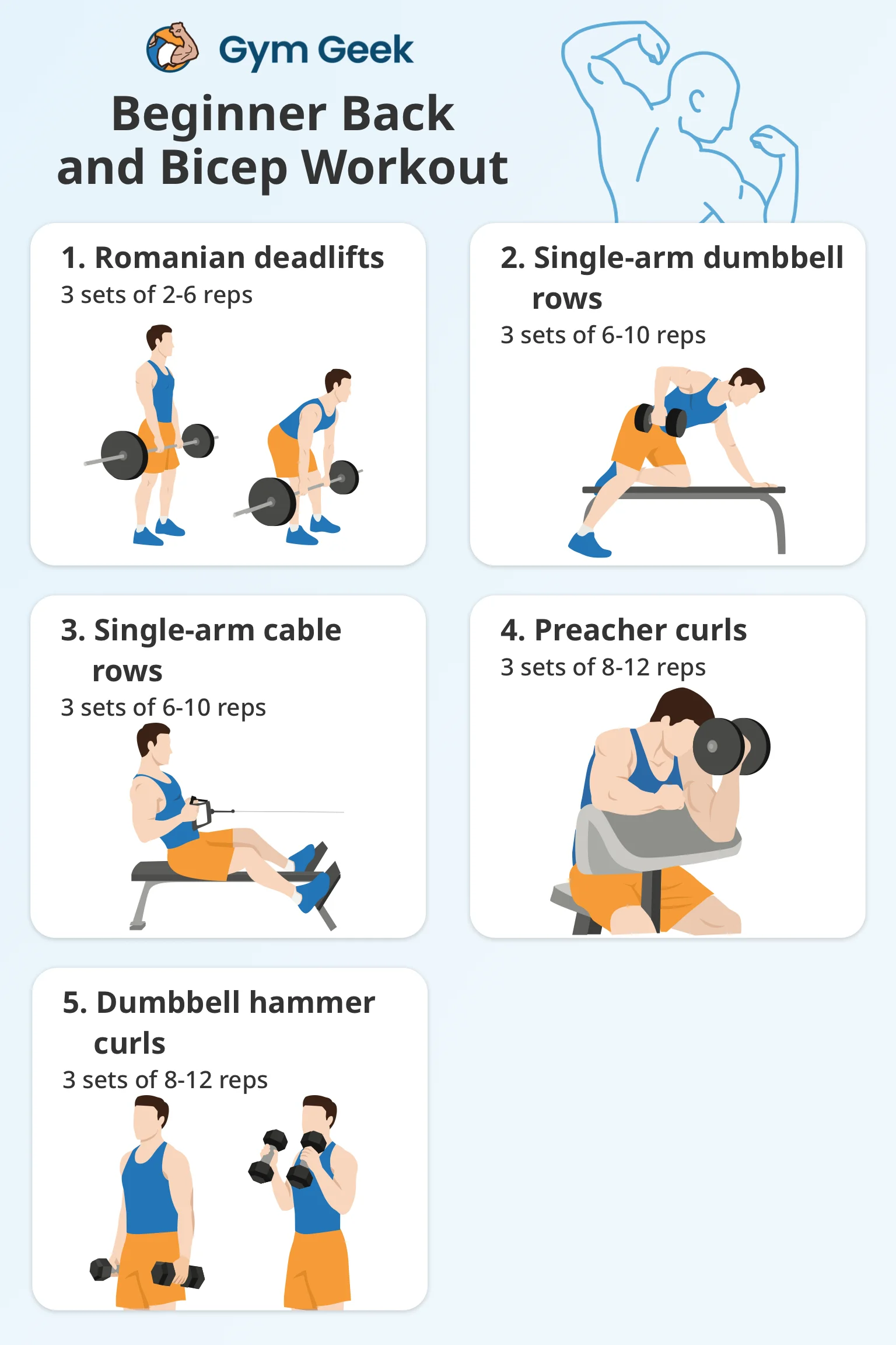 infographic - Beginner back and bicep workout routine (5 exercises)