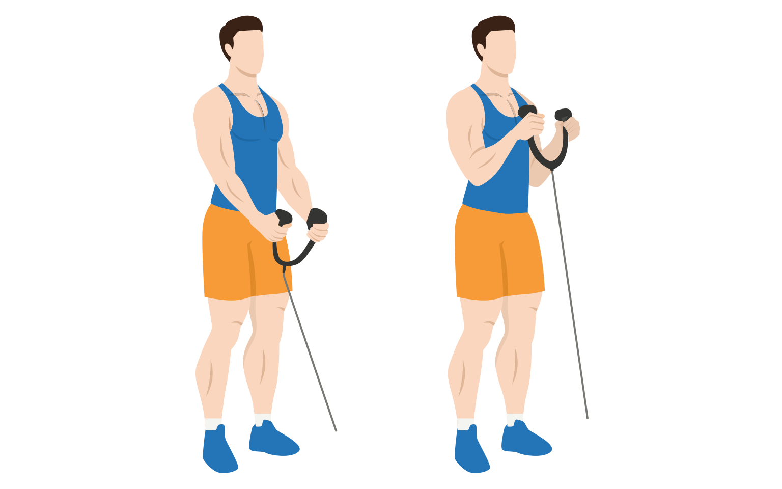 illustration - Cable hammer curls