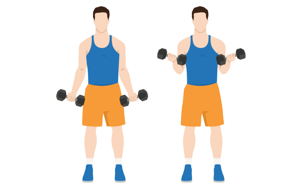 34 Bicep Curls + Bicep Workouts and Challenges Gym Geek