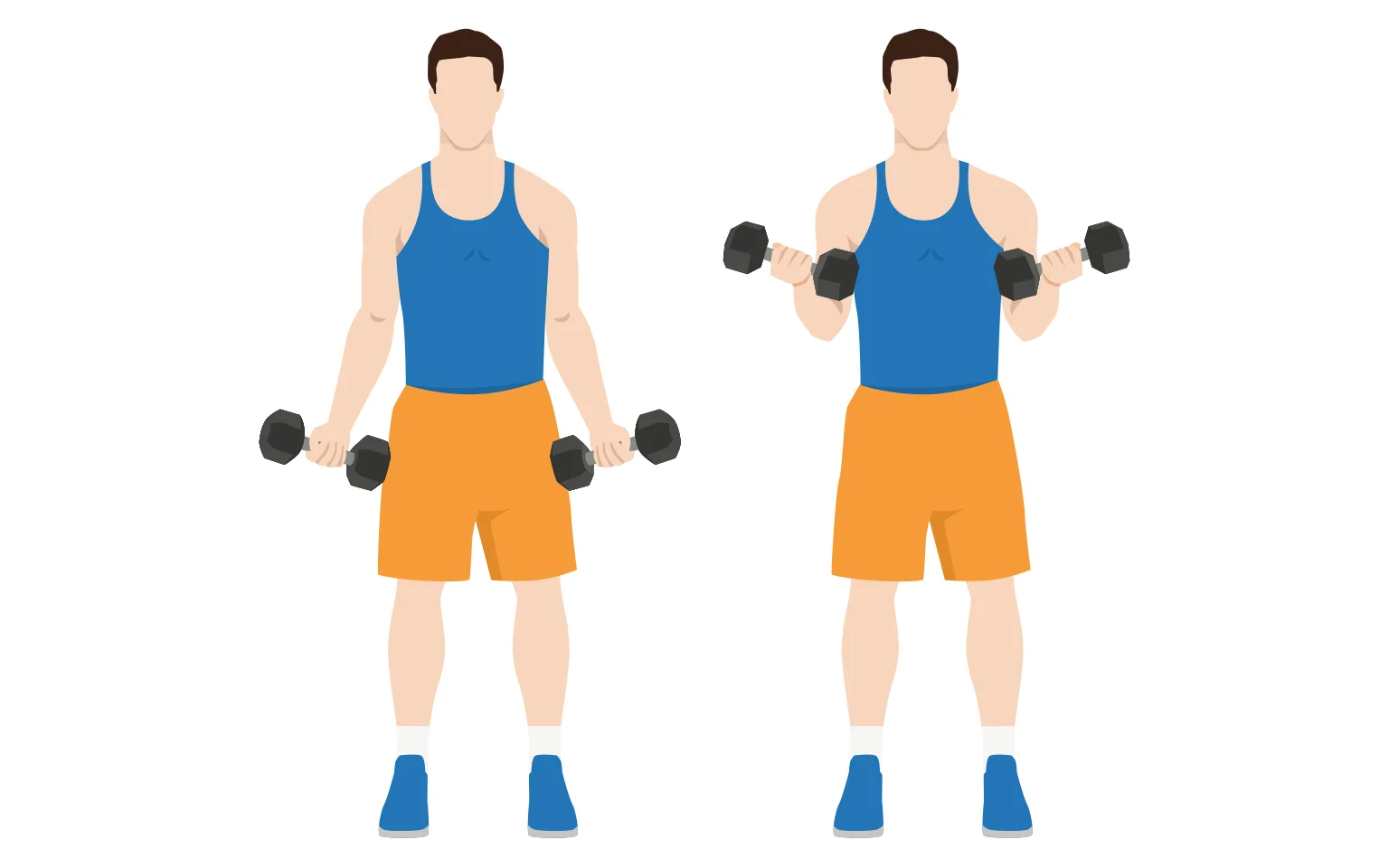 Dumbbell bicep curl