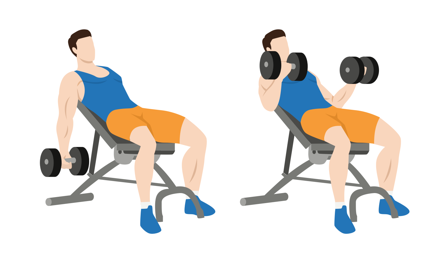 Incline dumbbell curl