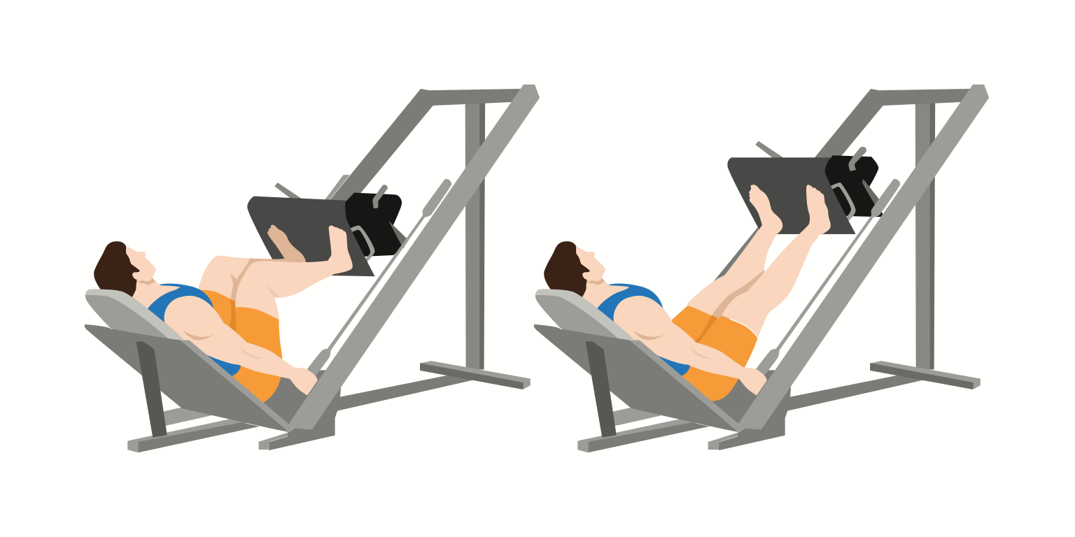 How To Do Leg Press Correctly - For All Fitness Levels - Gym Geek