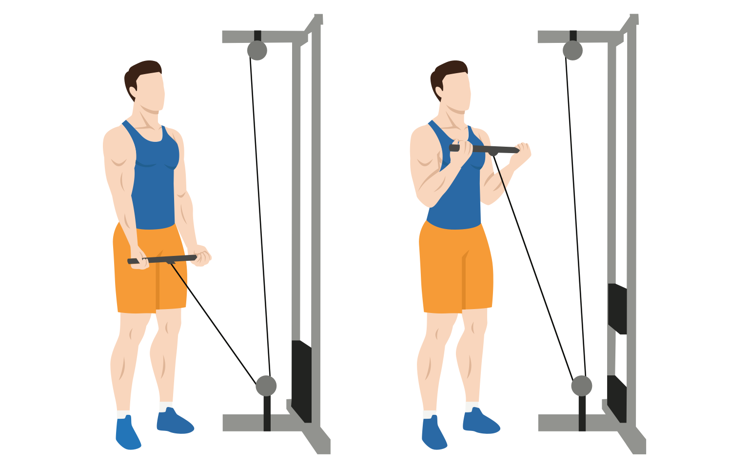 Low pulley cable curl