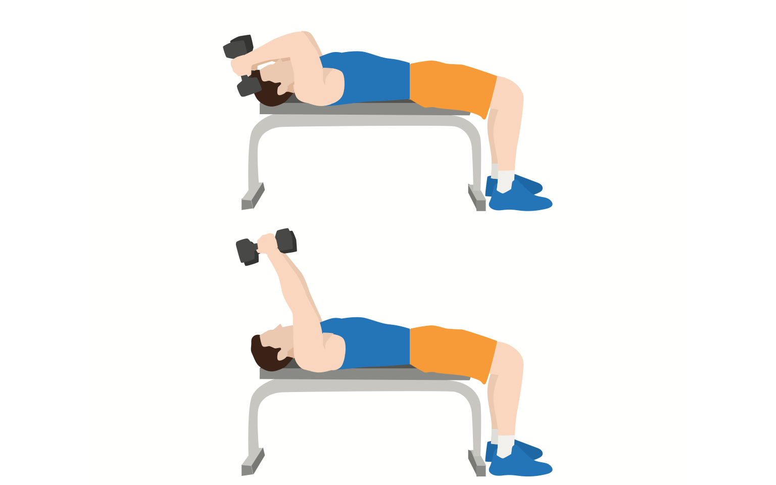 Diagram showing the Skull Crushers exercise