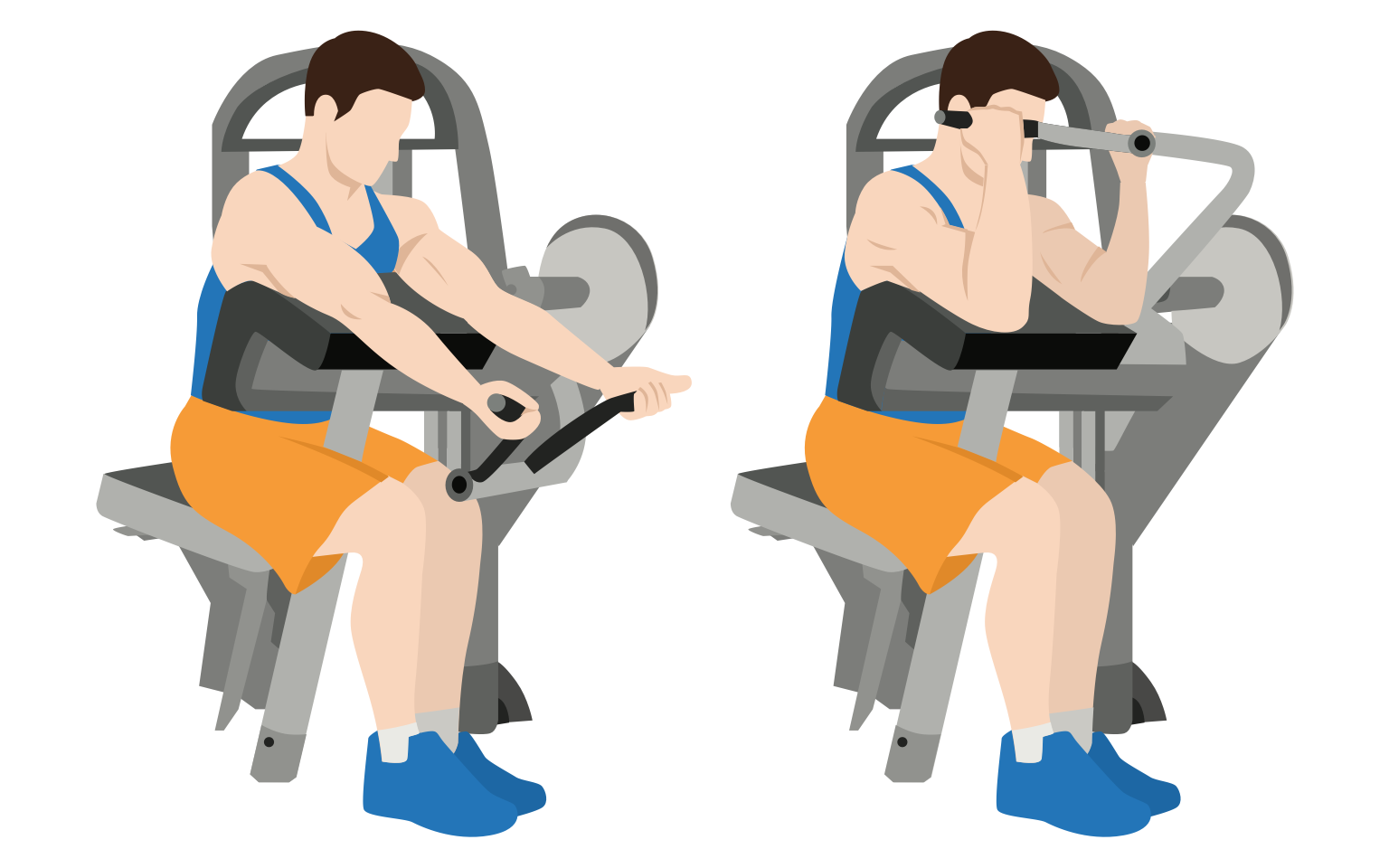 illustration - Machine preacher curls