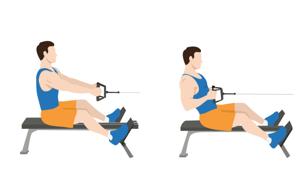 11 Best Exercises for Rhomboids Rows, Pulls, Flyes Gym Geek