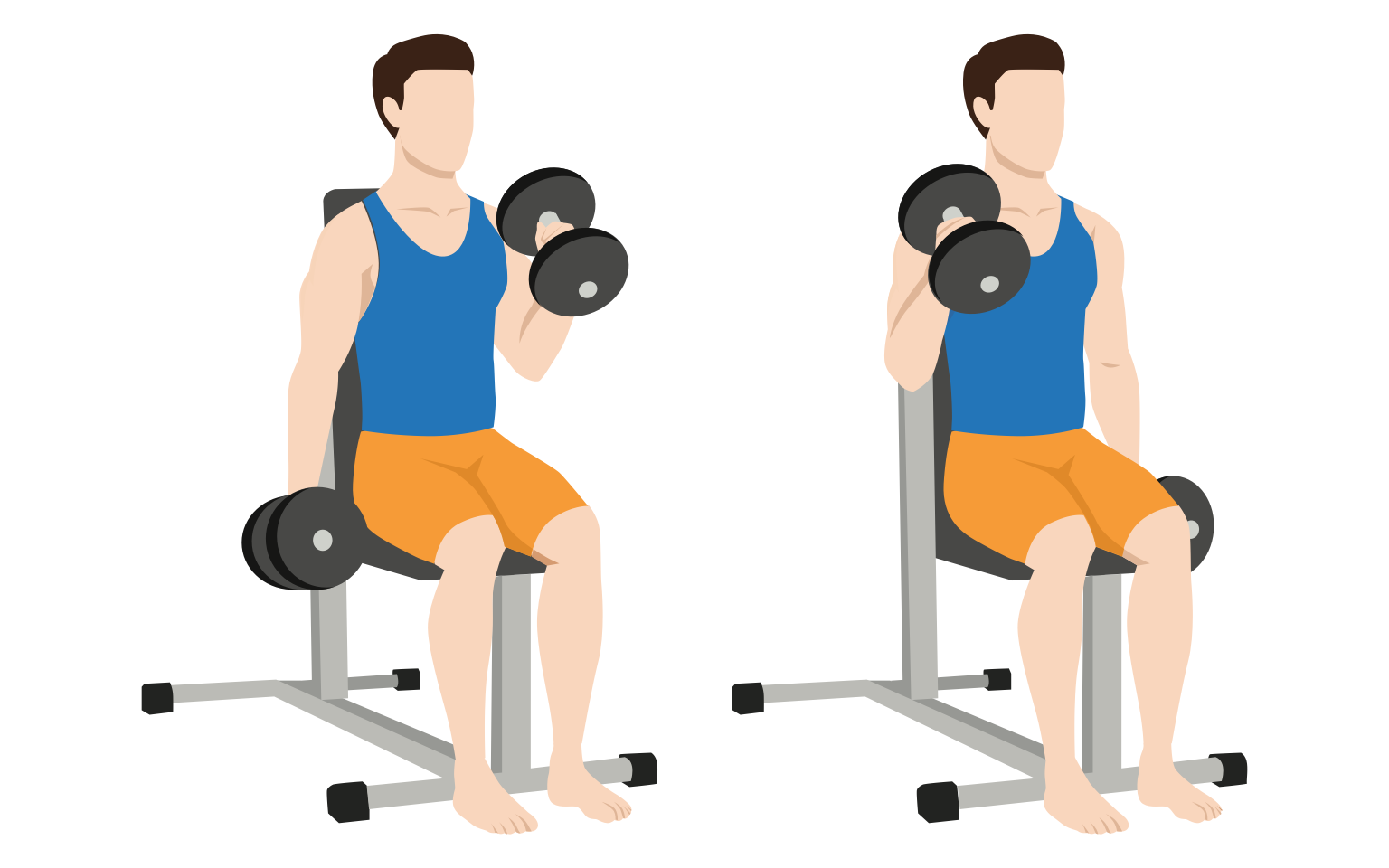 Seated hammer curls