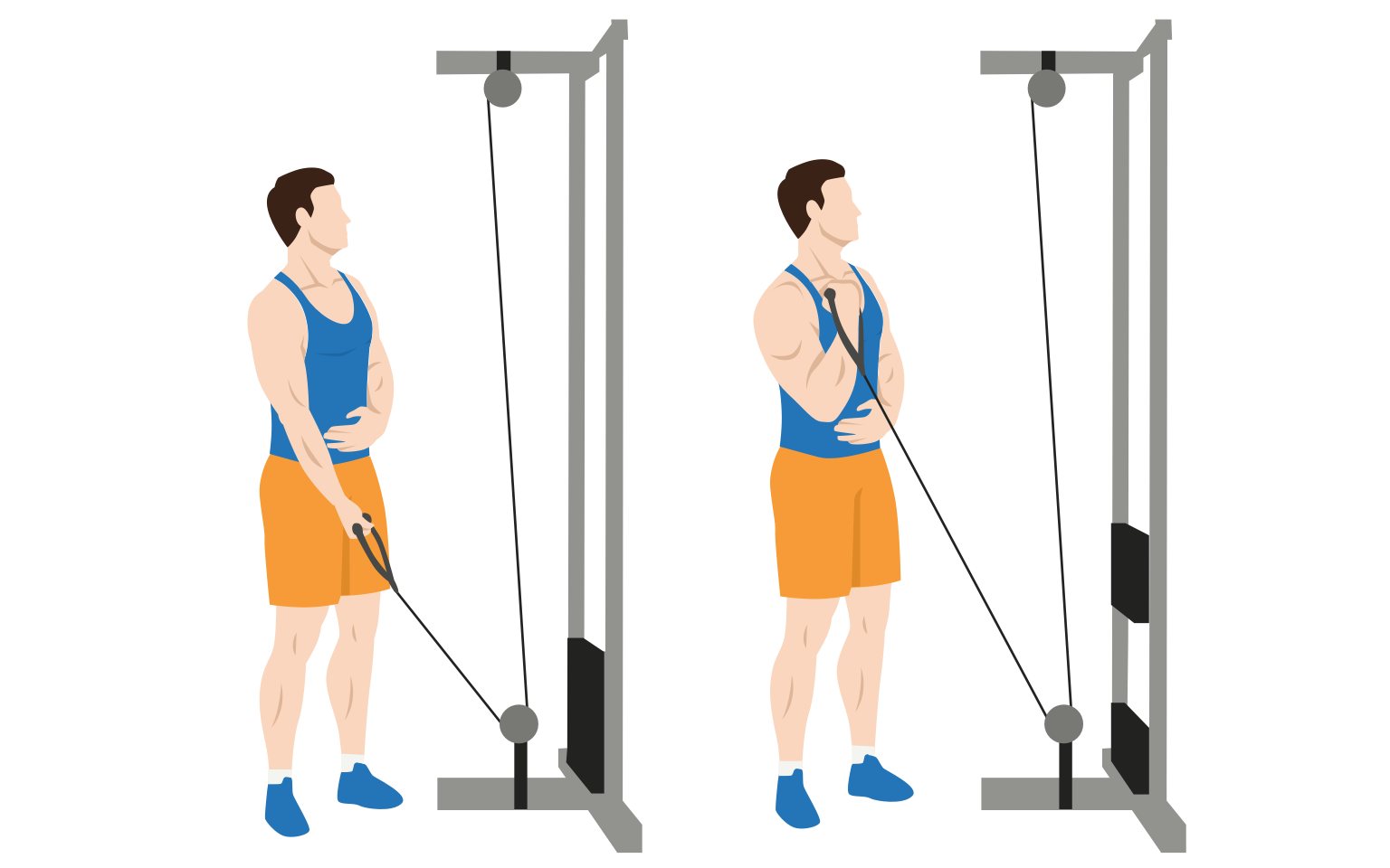 illustration - Single arm cable curl