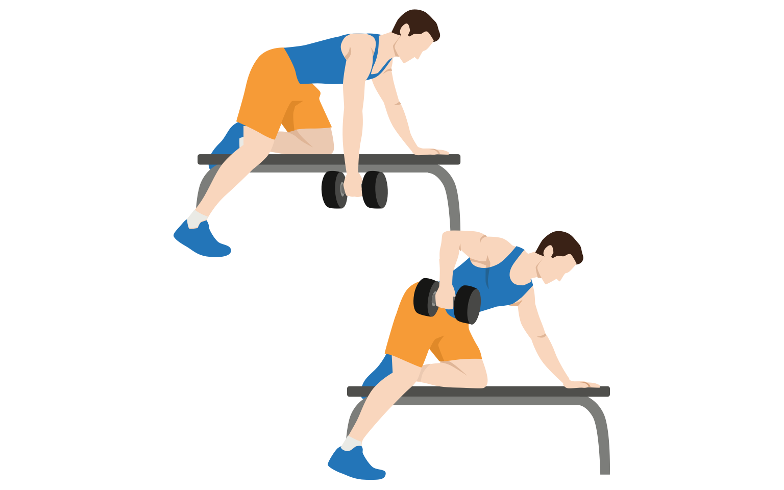 Two Back Day Workout Routines With And Without Deadlifts Gym Geek