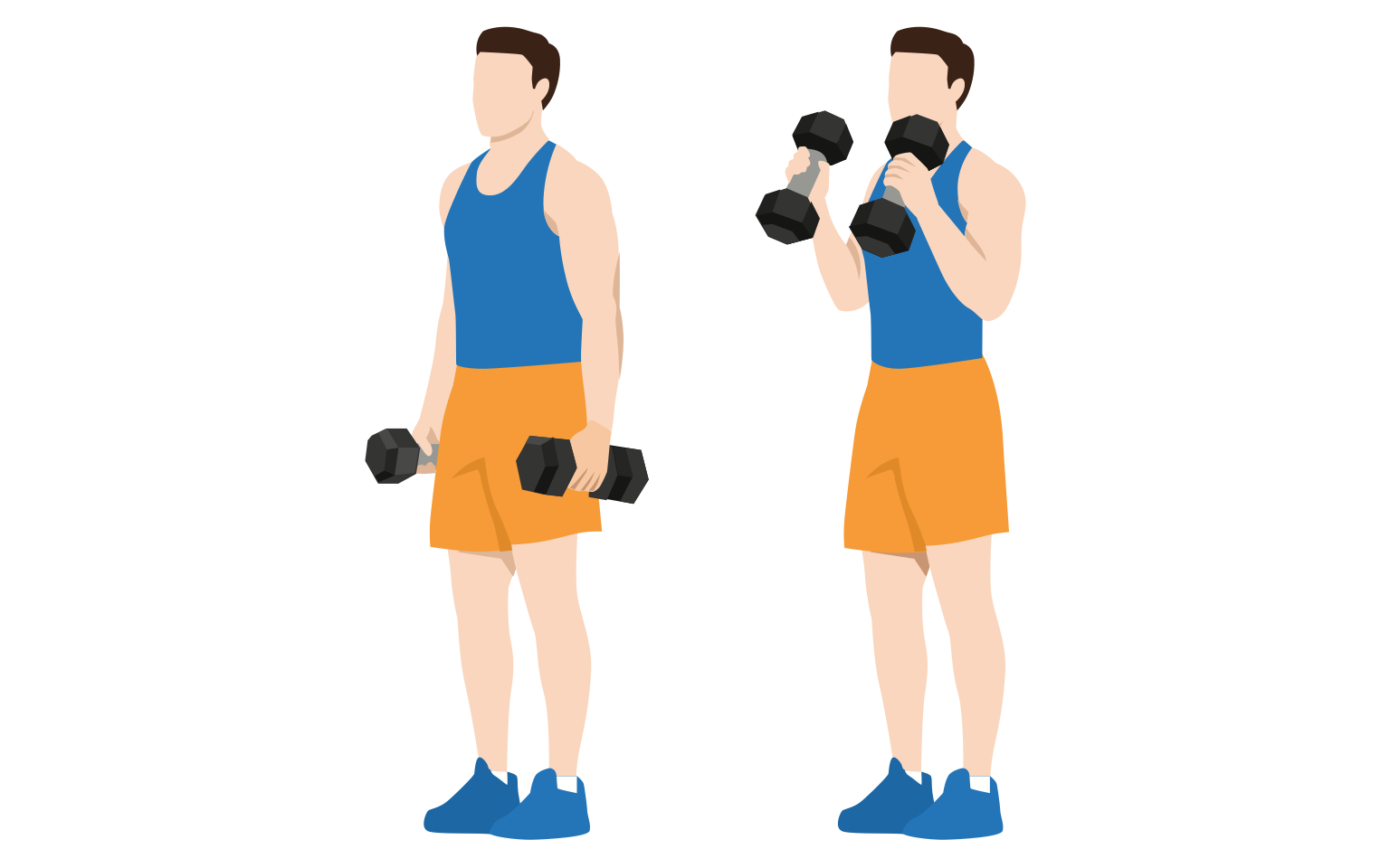 illustration - Standing hammer curls