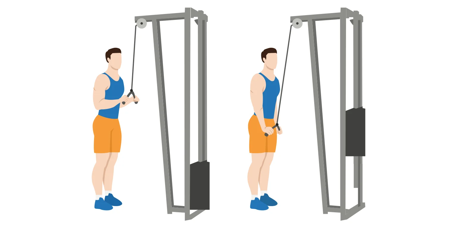 Diagram - man performs the straight bar tricep extension on a cable machine