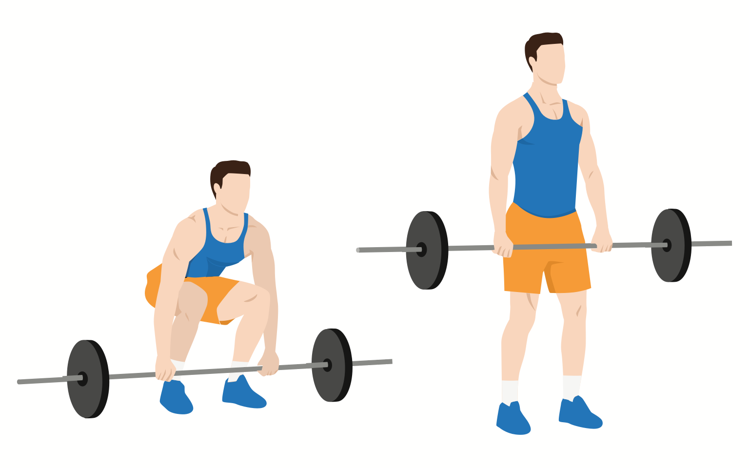 Diagram - how to do a traditional deadlift