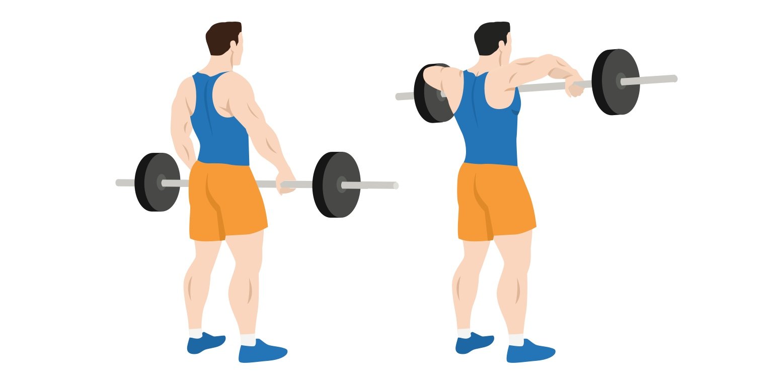 Diagram - how to perform an upright row. Man performs an upright row.