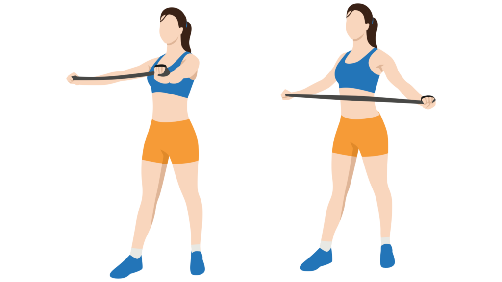 11 Best Exercises for Rhomboids - Rows, Pulls, Flyes - Gym Geek