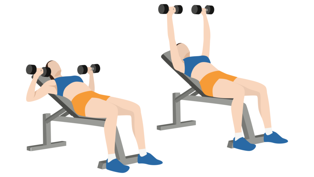 Push Day Workout - Chest, Shoulders and Triceps Routine - Gym Geek