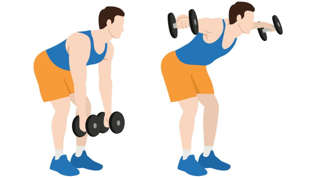 11 Best Exercises for Rhomboids - Rows, Pulls, Flyes - Gym Geek