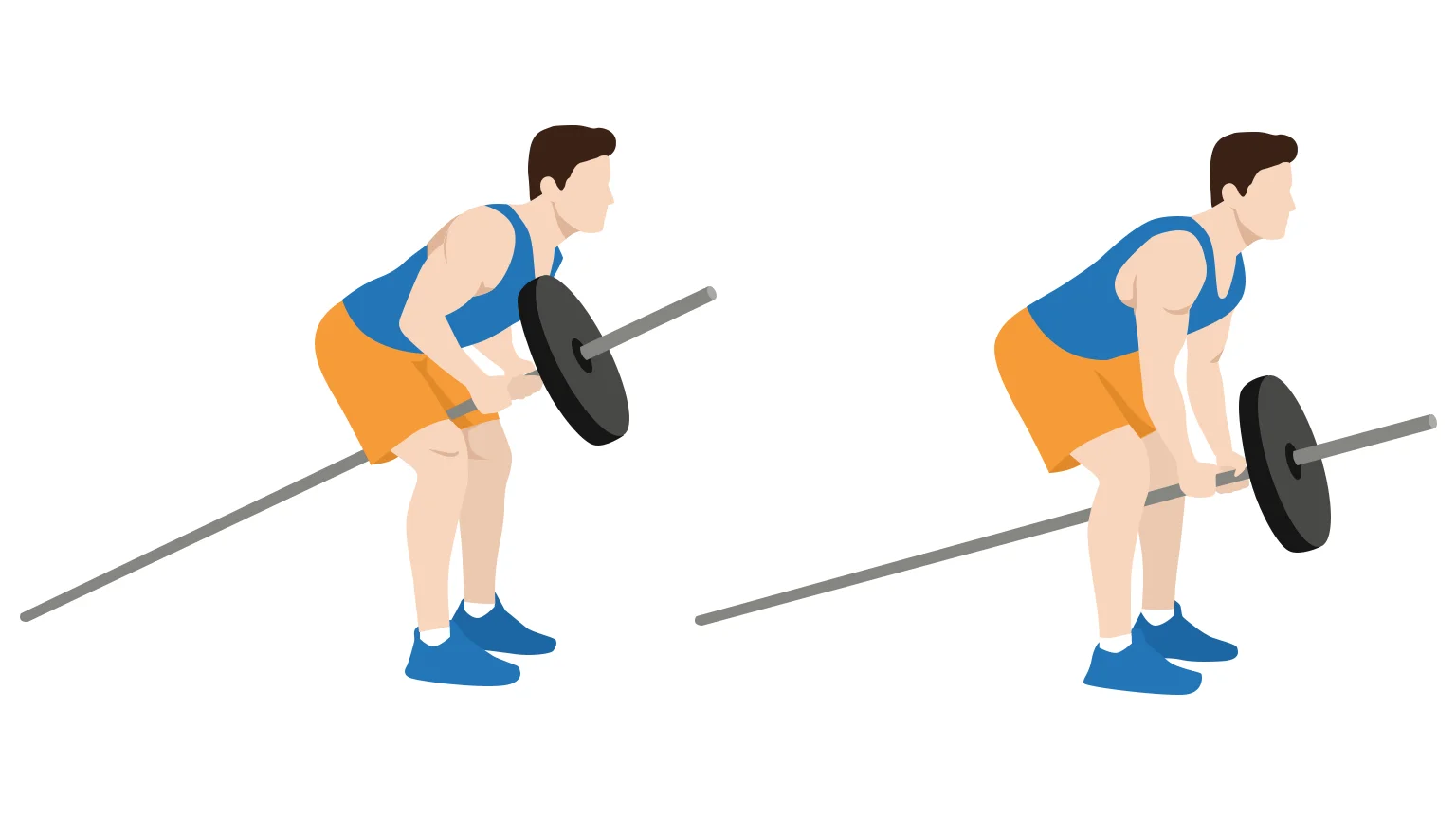 diagram - How to perform a T bar row