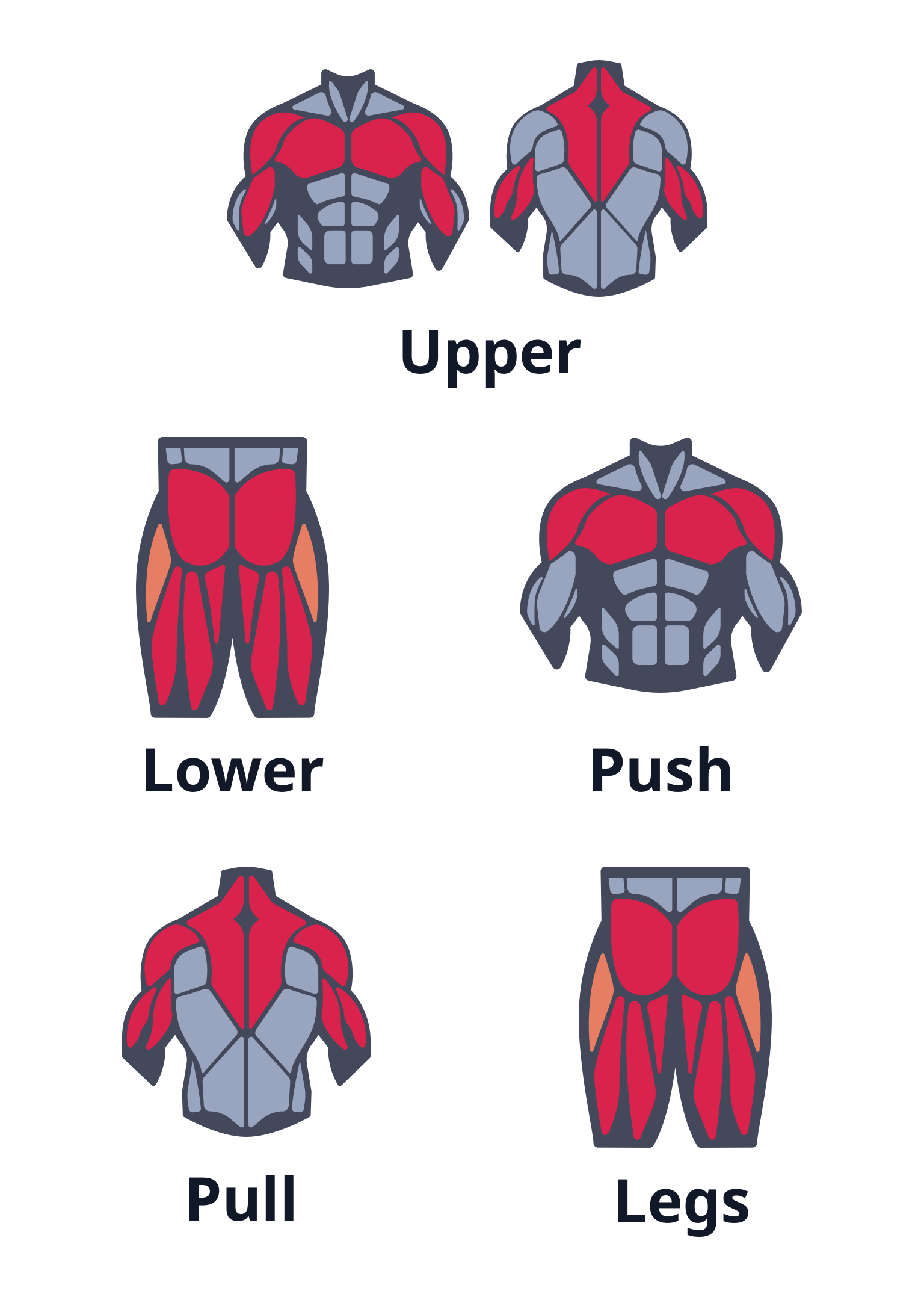 Legs push pull upper lower online split