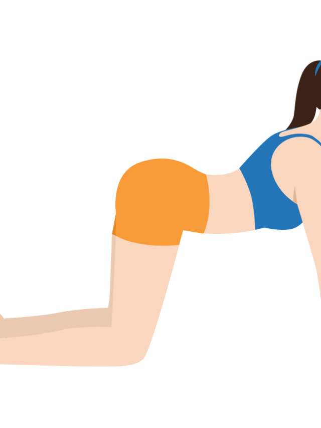 Cow Pose (Bitilasana) - Gym Geek