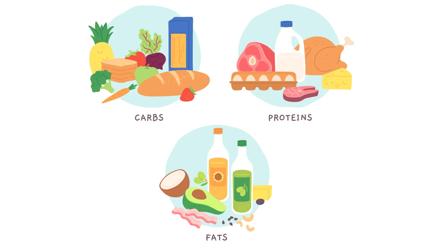 Carbs, proteins and fats and all macro nutrients. This image shows common food sources for each kind of macronutrient.