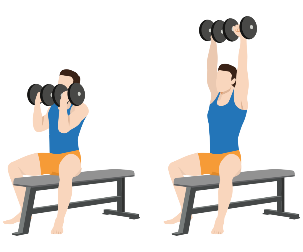 How to Do a Shoulder Press (5 Variations) - Illustrated Guide - Gym Geek