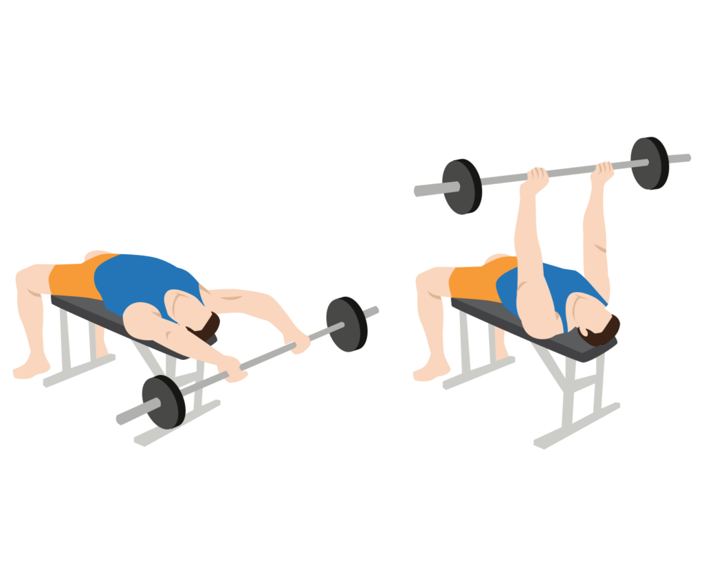 How to Do Dumbbell Pullovers and Barbell Pullovers Gym Geek