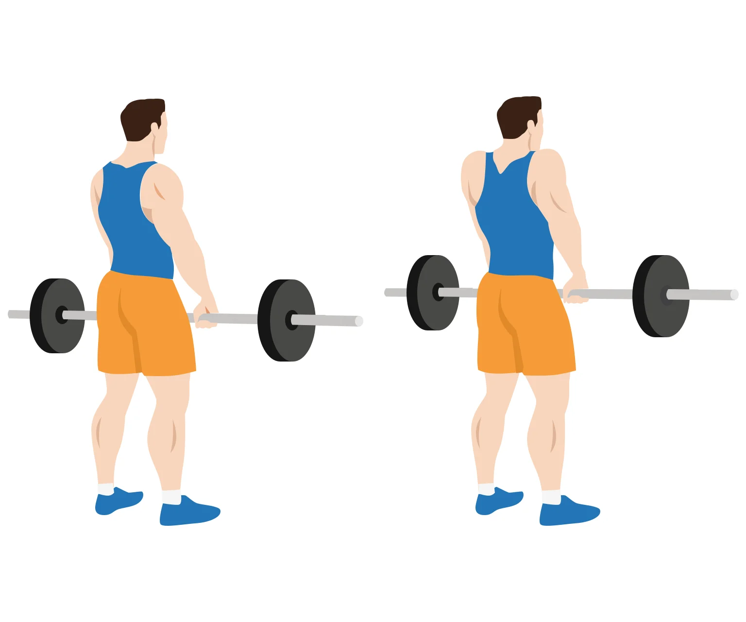 illustration - How to do barbell shrugs