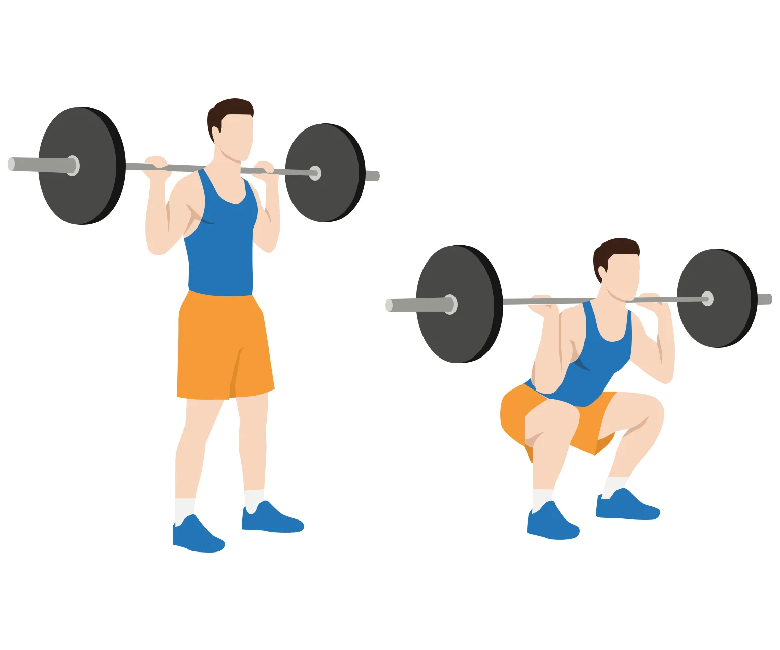 diagram - How to do a barbell squat