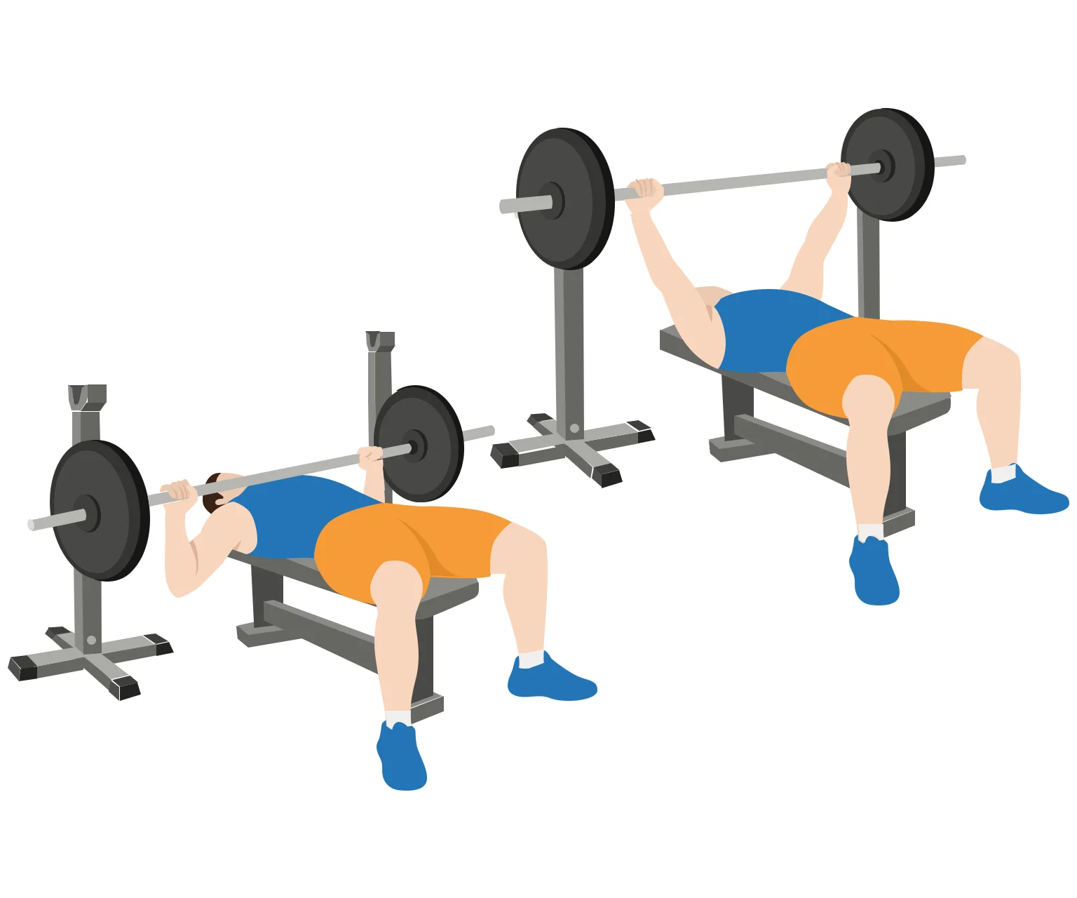 diagram - How to do the barbell flat bench press