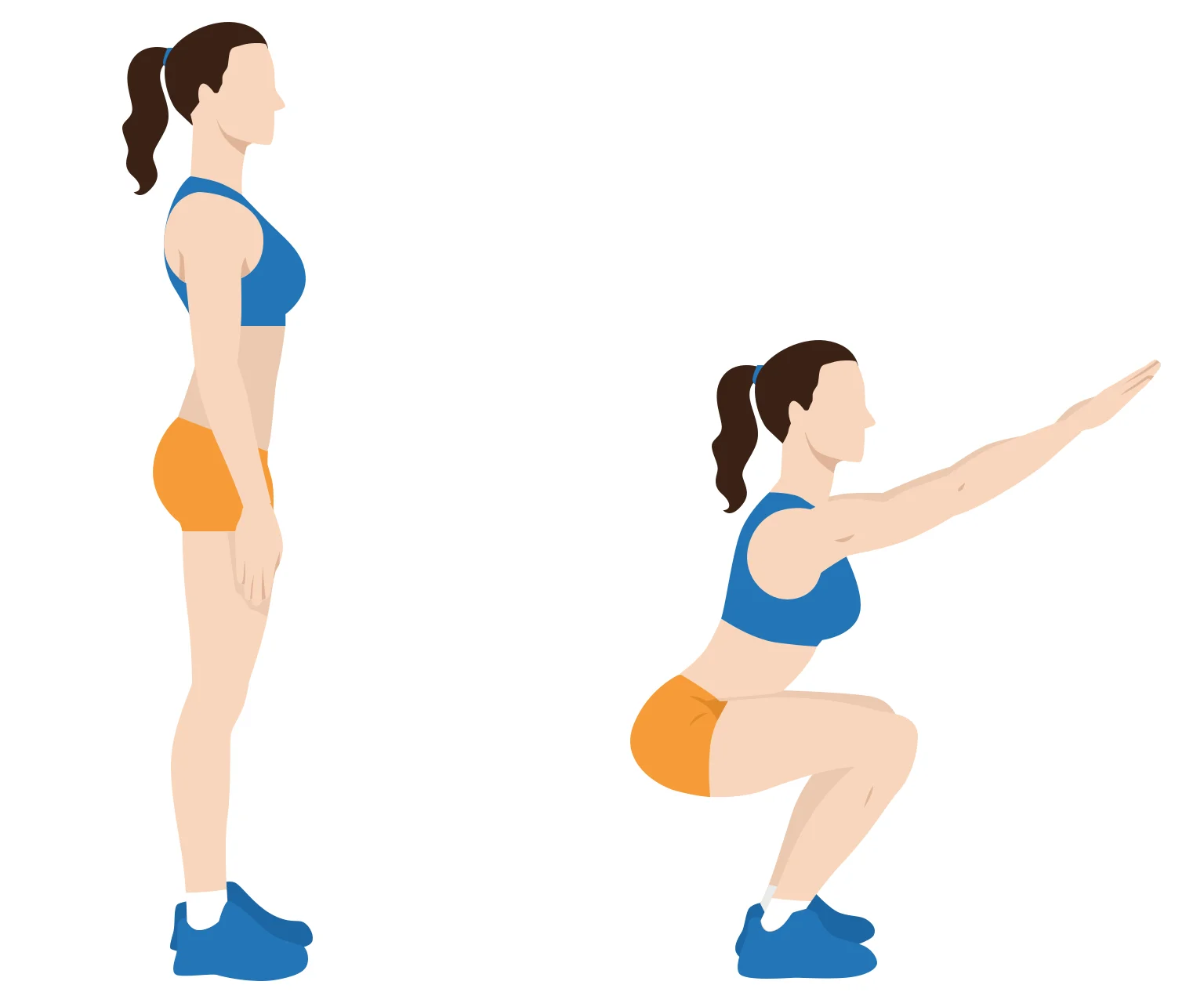diagram - How to do a bodyweight squat