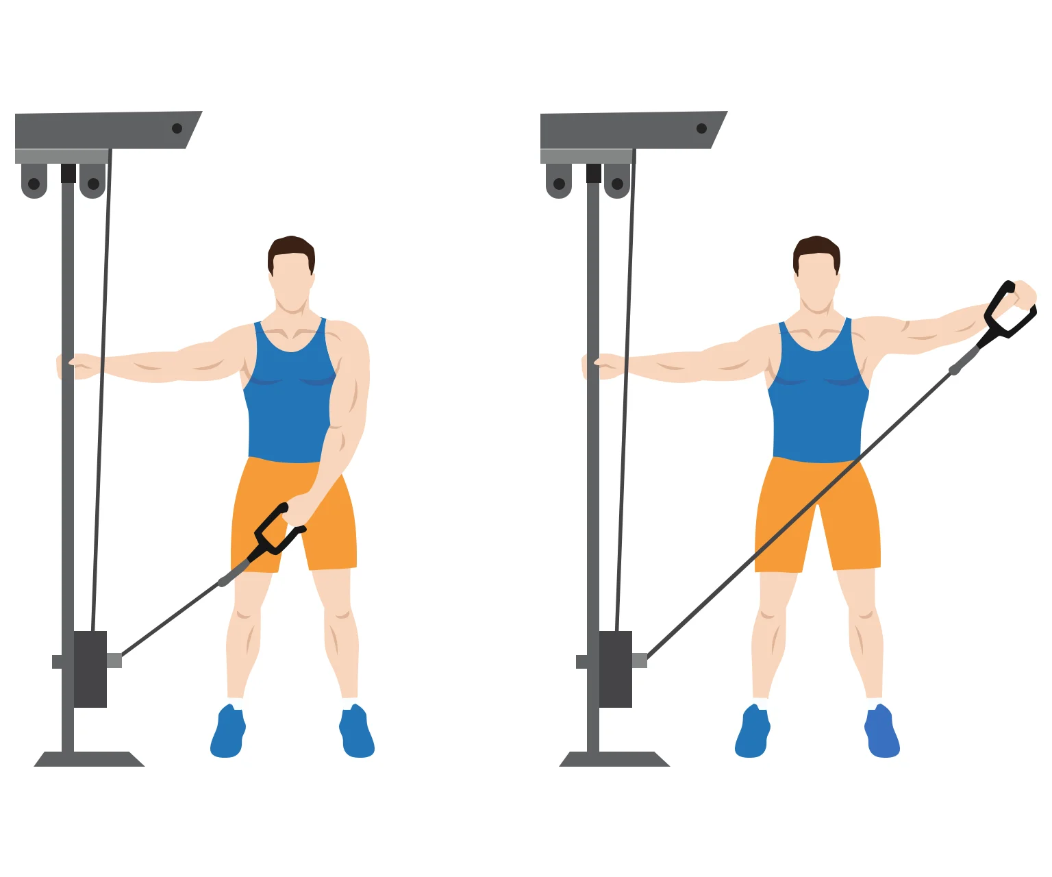 diagram - How to do a cable lateral raise (one arm)