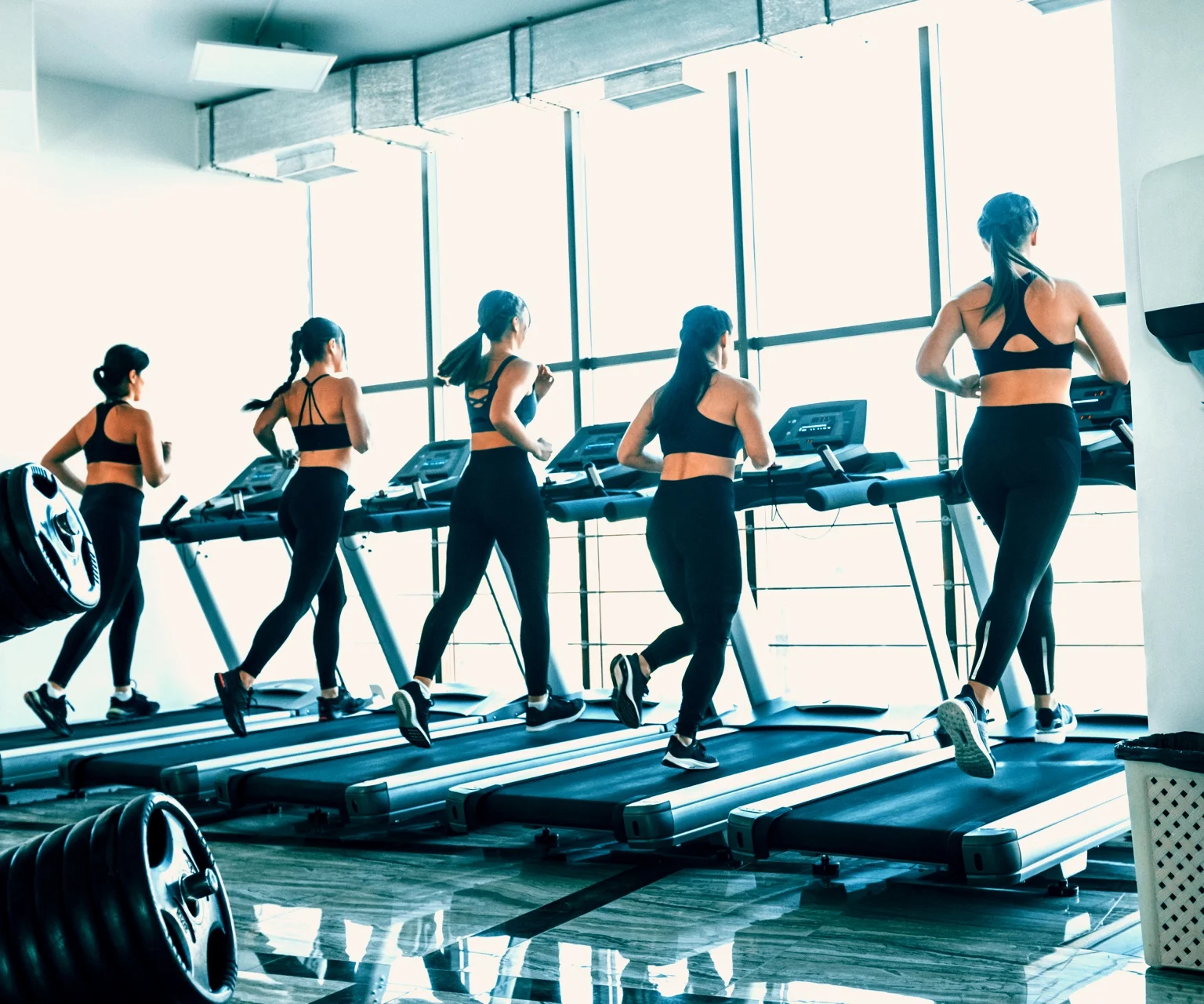 photo - 5 women run on treadmills at the gym. The 5 day workout routine for women contains cardio to burn calories