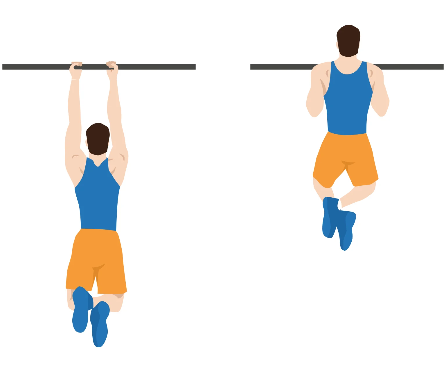 diagram - How to perform a chin-up