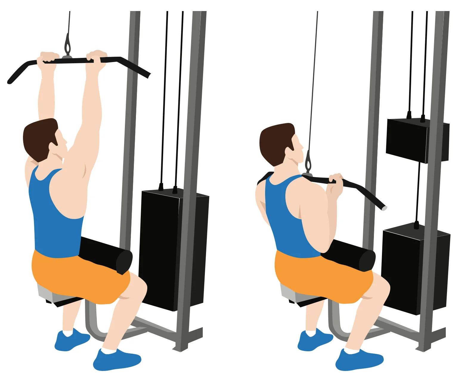diagram - How to do a close grip lat pulldown