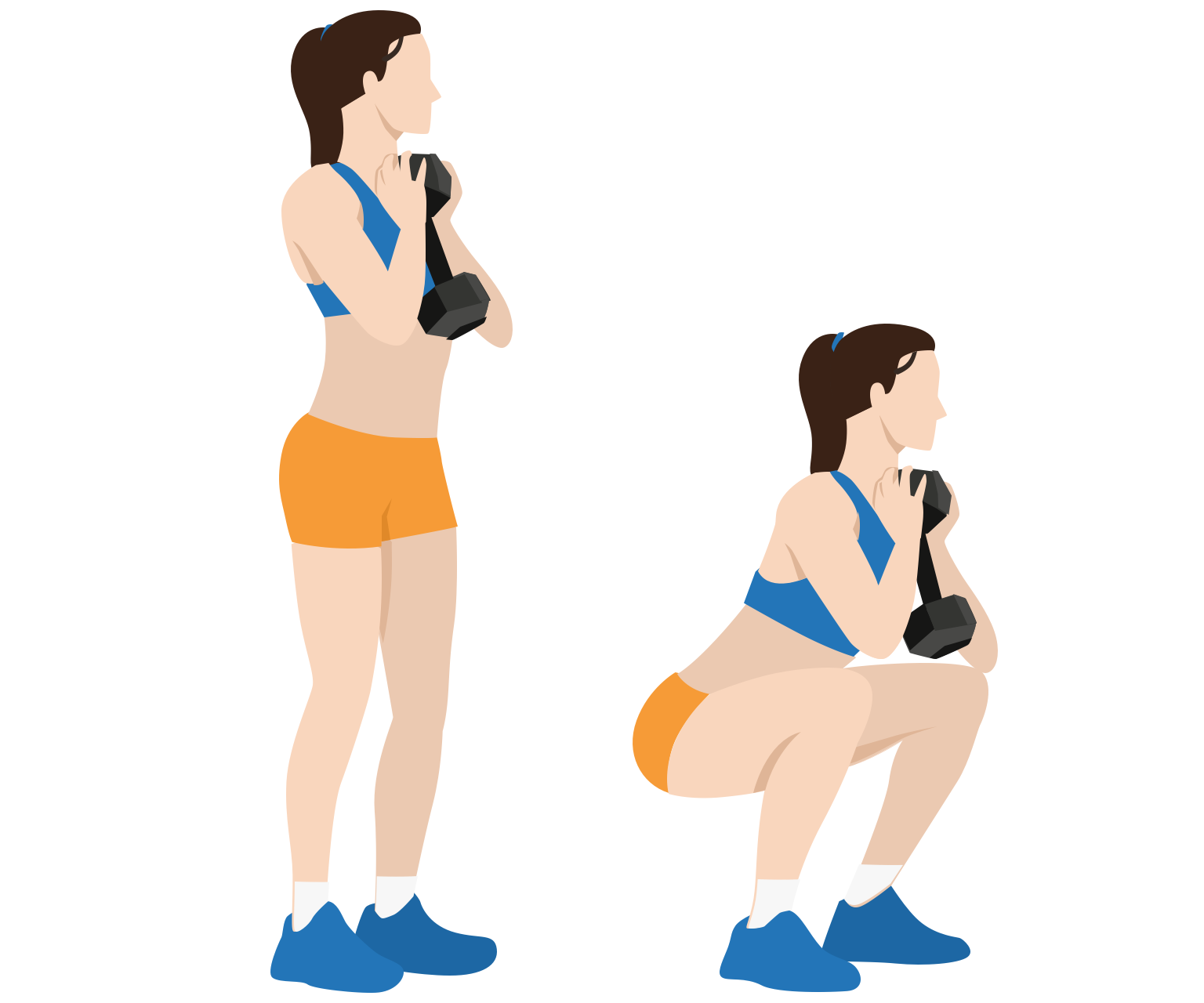 diagram - How to do a dumbbell goblet squat