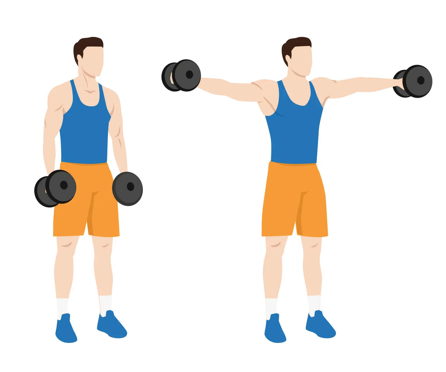 diagram - How to do a dumbbell lateral raise