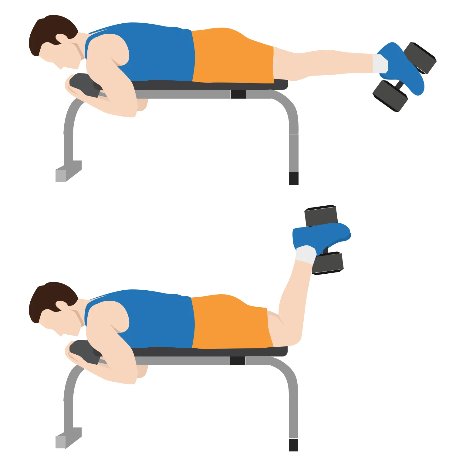 Illustration - How to do a dumbbell prone leg curl