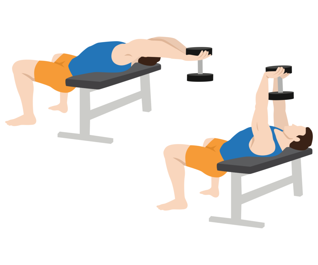 How to Do Dumbbell Pullovers and Barbell Pullovers Gym Geek