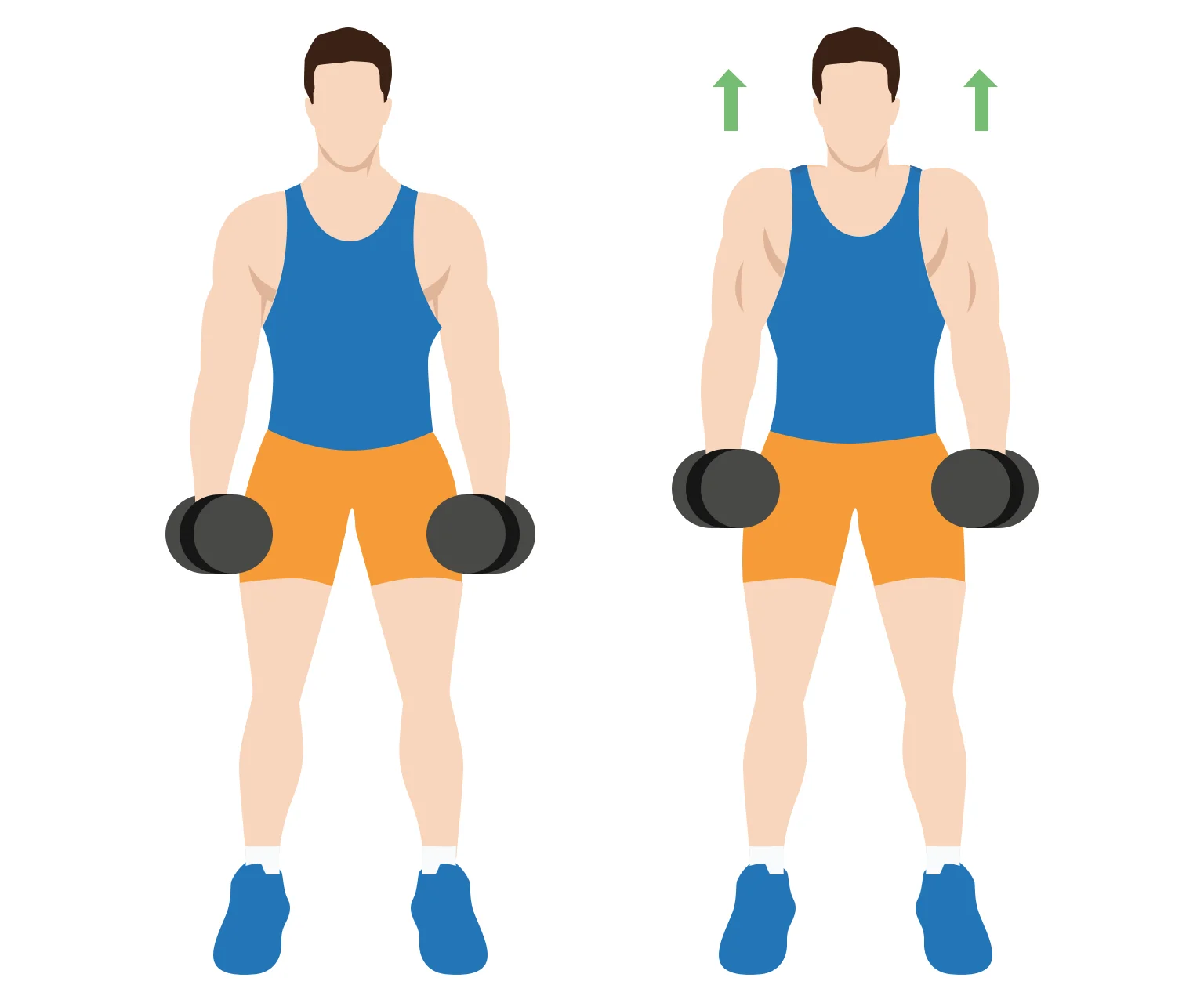 illustration - How to do dumbbell shrugs