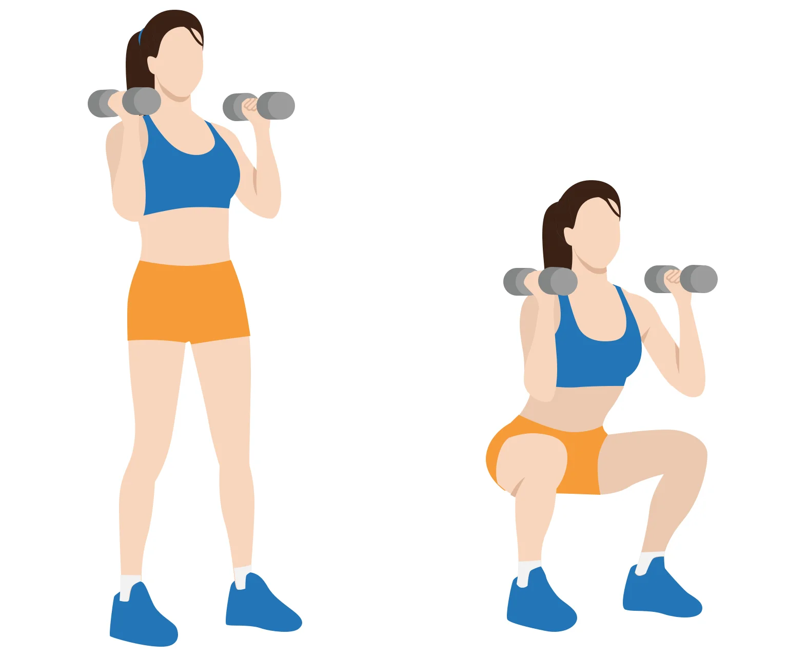 diagram - How to do dumbbell squats