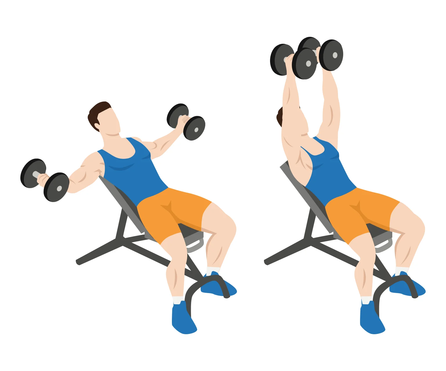 illustration - How to do an incline dumbbell chest fly
