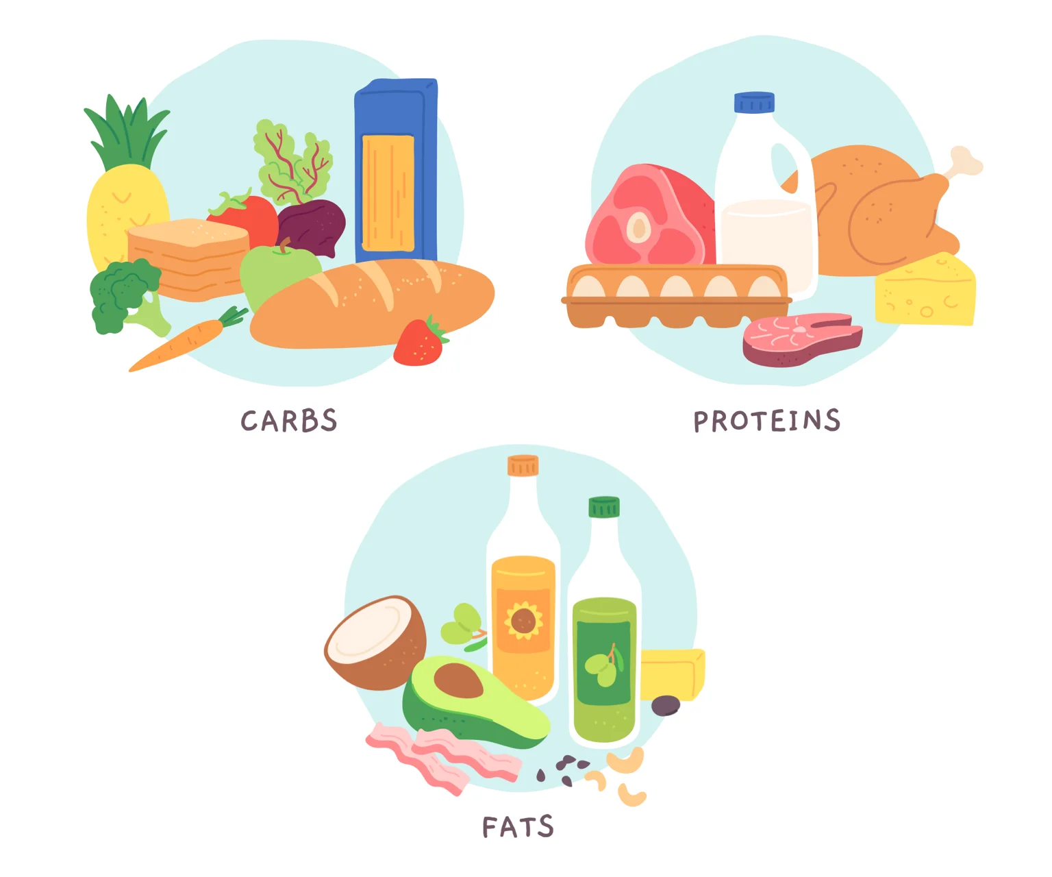 illustration - Showing the key macros - carbs, proteins and fats.