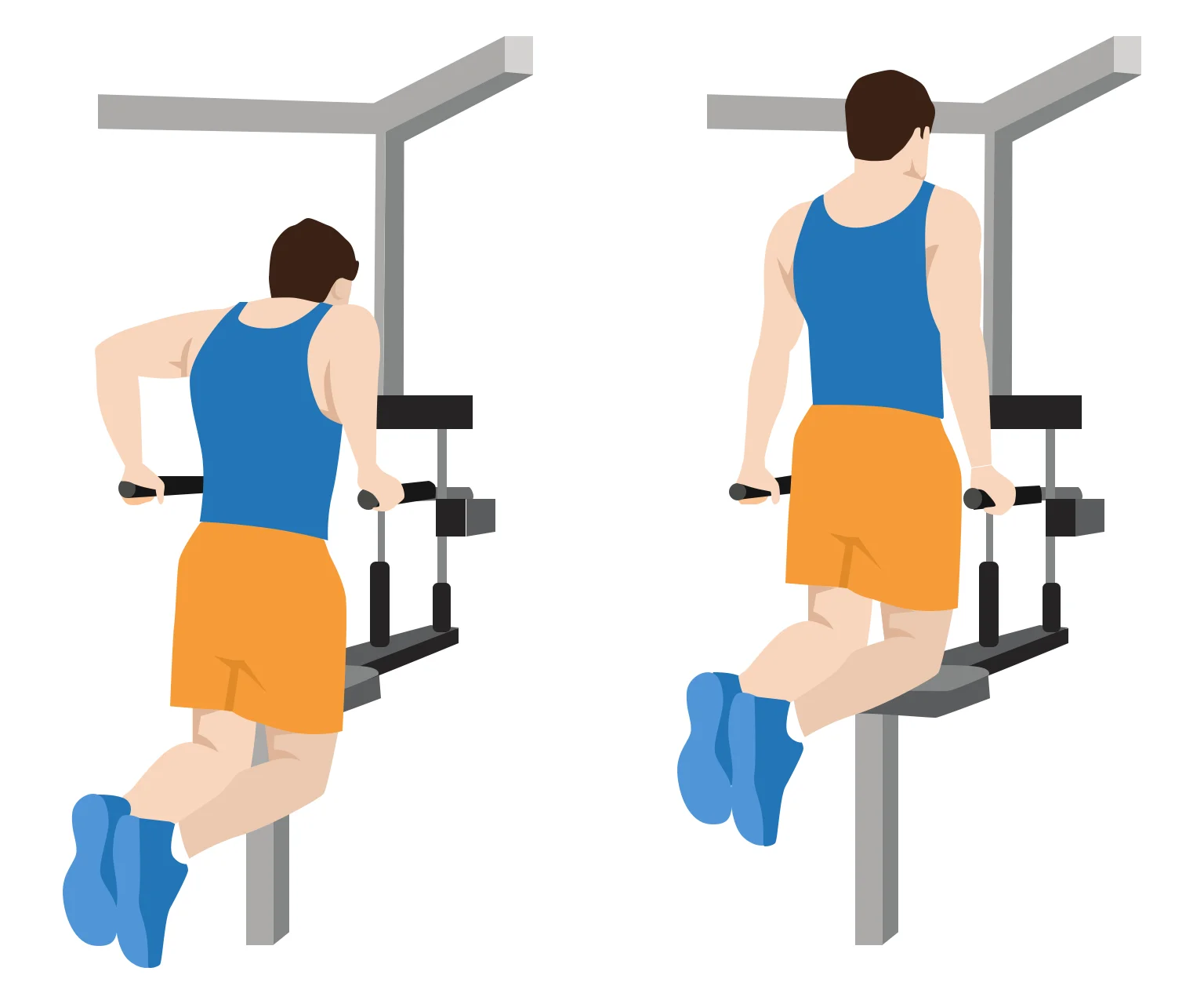 illustration - How to do parallel bar dips
