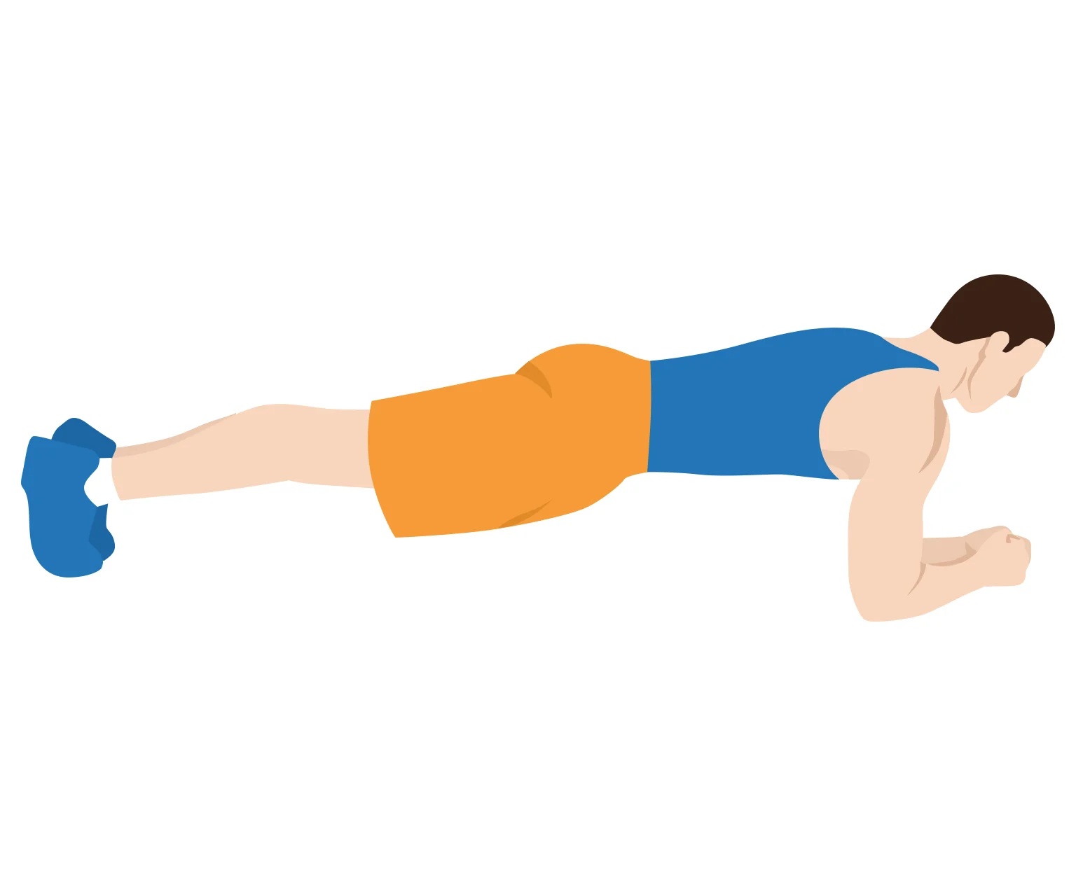 diagram - How to do a plank